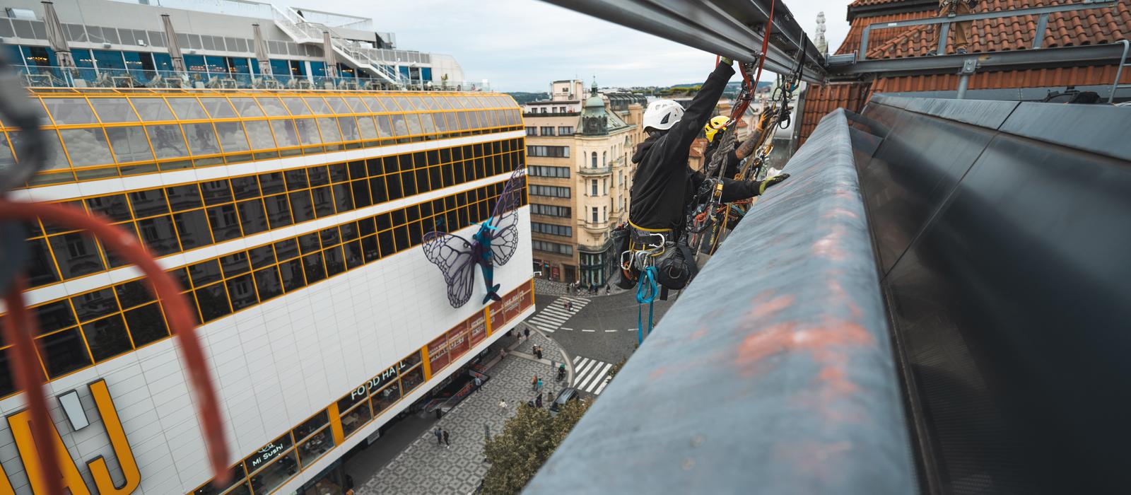 od z�bran proti ptactvu p�es opravy a pravidelnou �dr�bu fas�d.